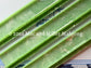 Agave Mahjong Racks + Velvet Rack Bag (Coming Soon) - Rack